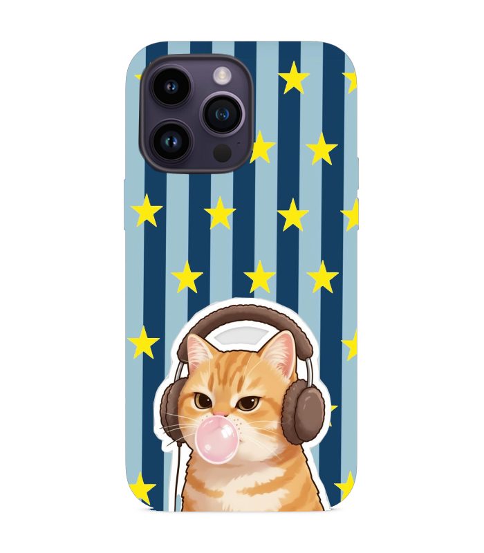 Muzik Dinleyen Kedi